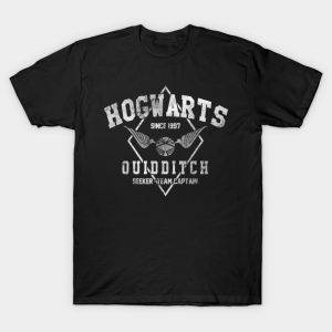 Hogwarts Quidditch (v.2)