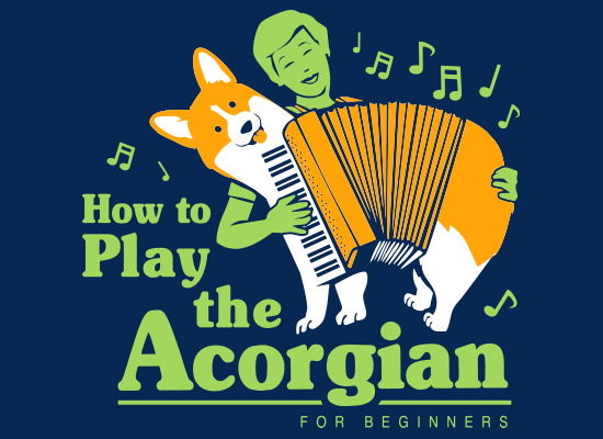 How To Play The Acorgian