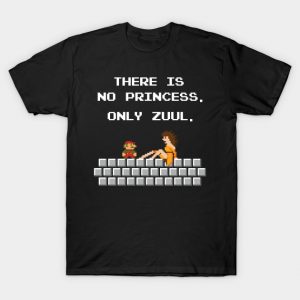 THERE IS NO PRINCESS