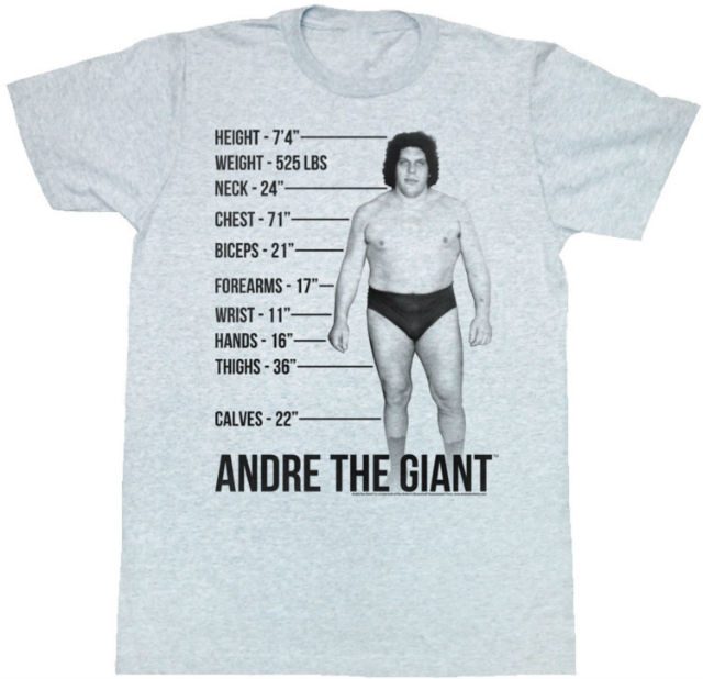 Measurements Andre The Giant