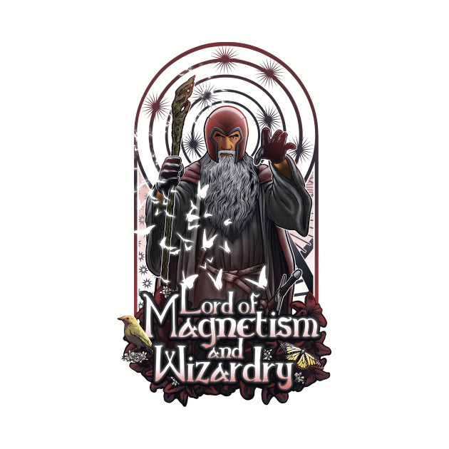 Lord of Magnetisn and Wizardry
