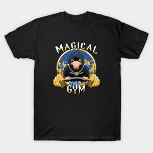 Magical Gym