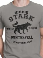 Winter is Coming (Alt) T-Shirt
