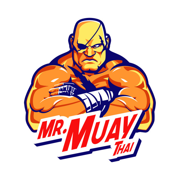 Mr Muay Thai